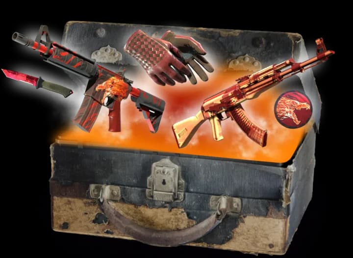 Howl Case