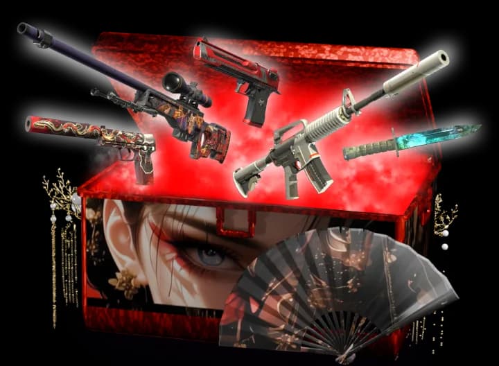 Shinobi Case