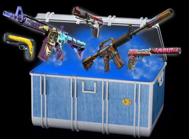 Budget Case