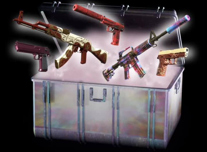 Luxury Case