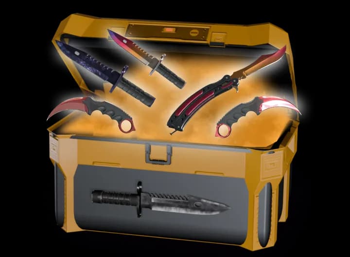 Knife Case